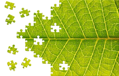 environmental-puzzle